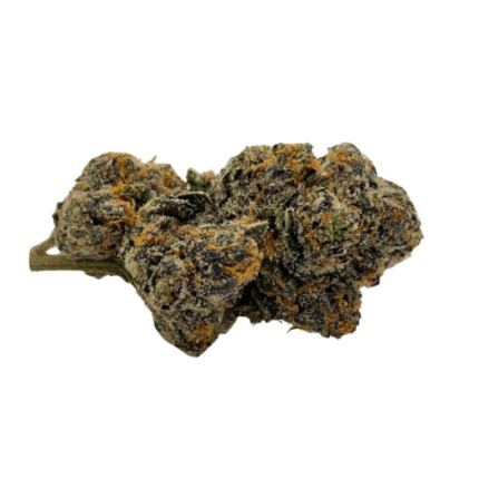 Gelato 33