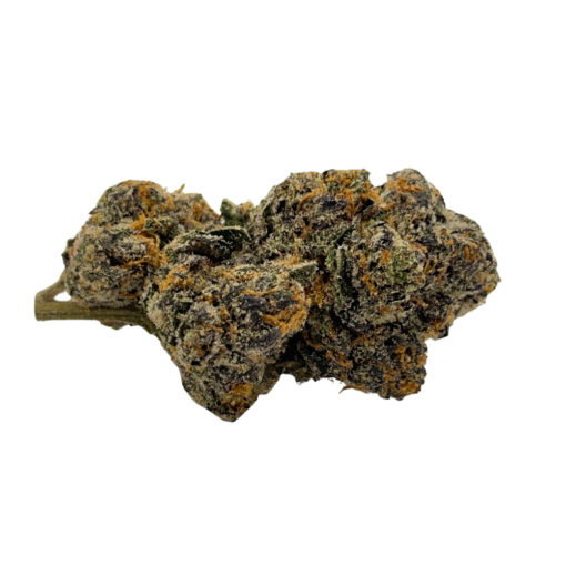 Gelato 33