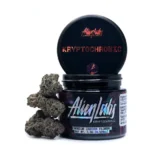 Buy Krypto Chronic (Indoor)