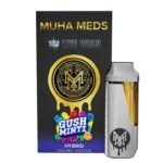 Buy Gush Mintz Live Resin Disposable (Muha Meds)