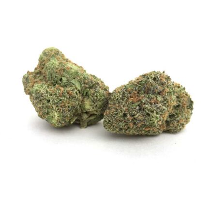 Alien Tangie
