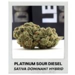 Buy Platinum Sour Diesel