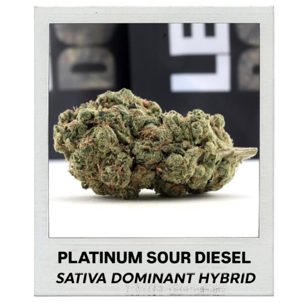 Buy Platinum Sour Diesel