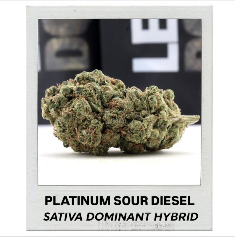 Buy Platinum Sour Diesel