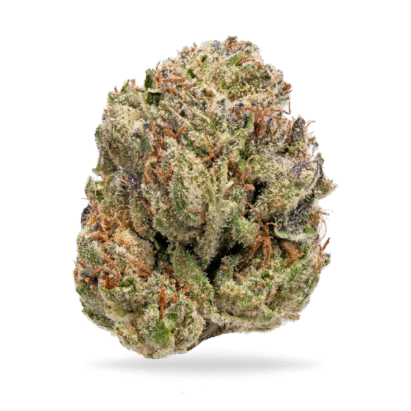 Lemon Cherry Gelato