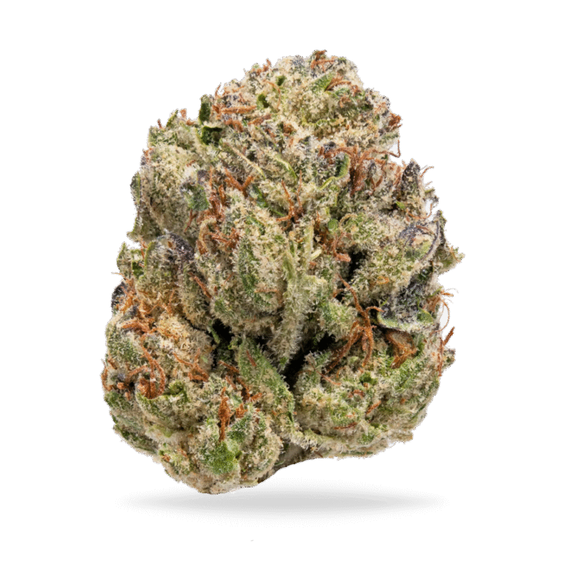 Lemon Cherry Gelato