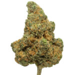 Blue Dream Kush