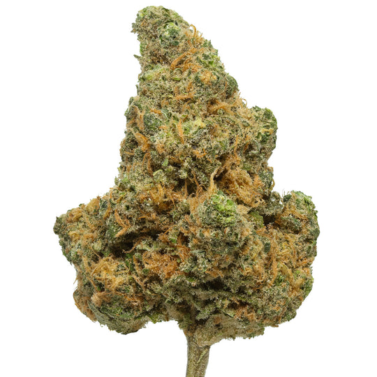 Blue Dream Kush