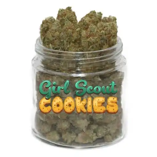 Buy Girl Scout Cookies CBD Flower