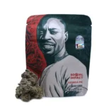 Buy Georgia Pie THCa (Indoor)