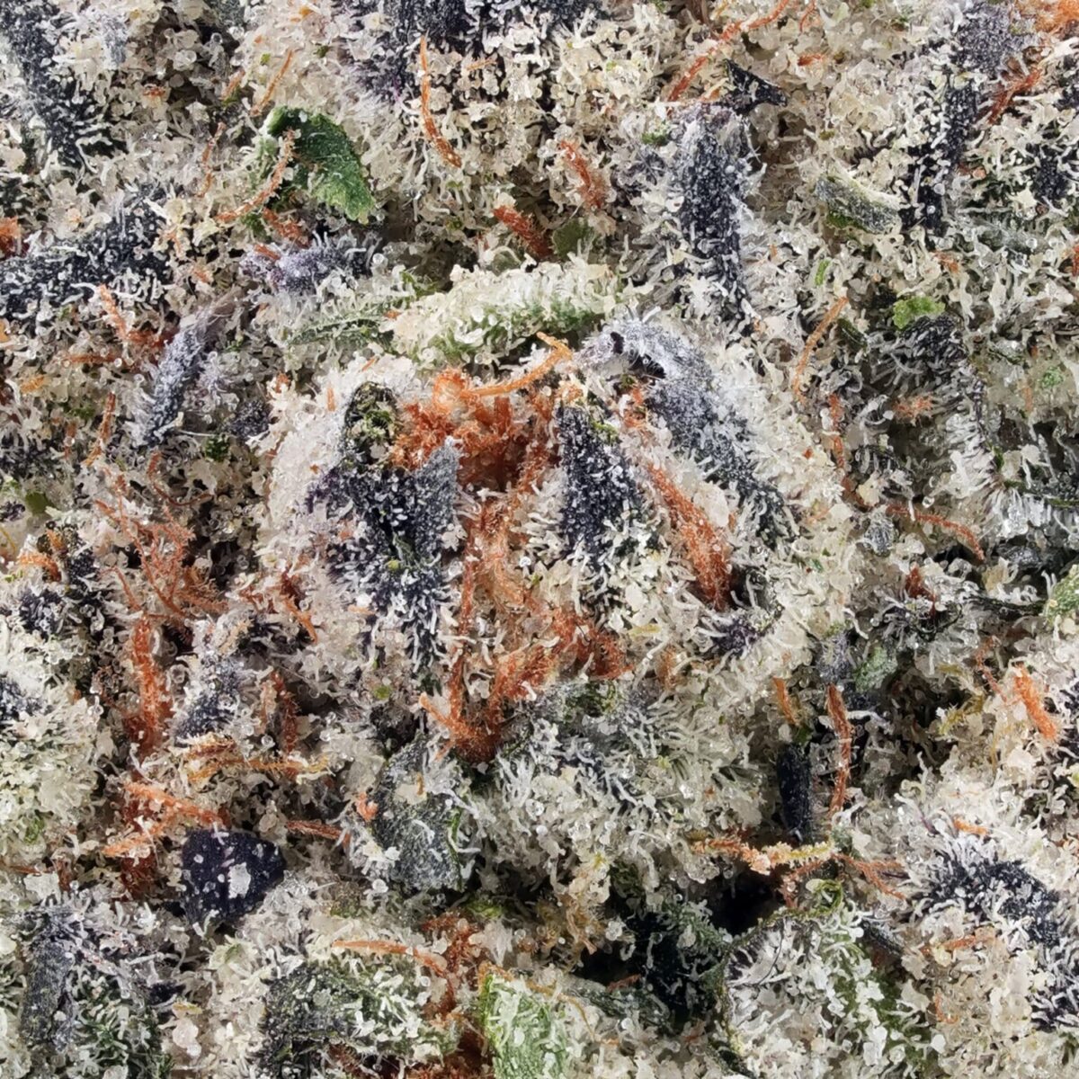 Green Crack – Sativa 15-18% - Image 2