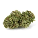 Buy Quality OG 18 Strain