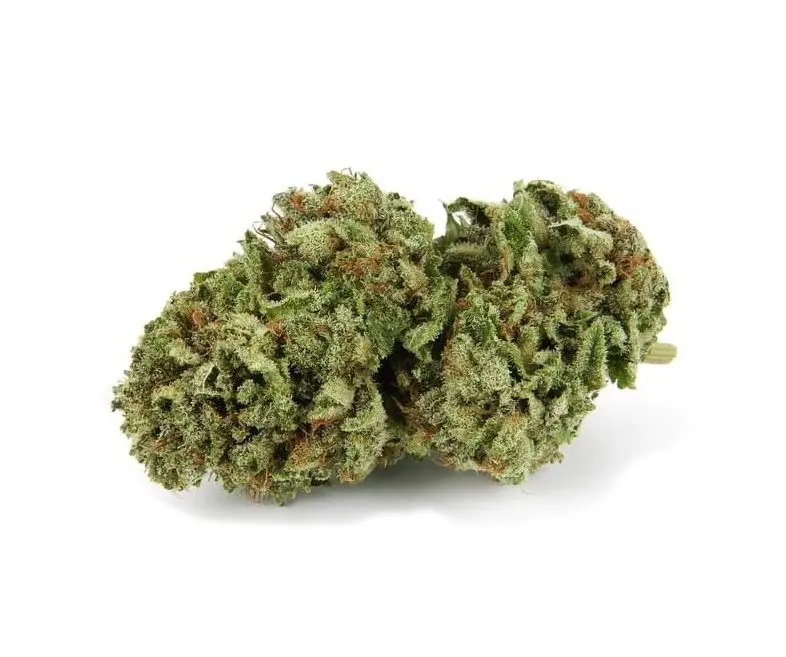 Buy Quality OG 18 Strain