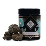 Purple Thunder Indica kush