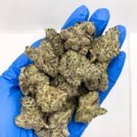 Rare Truffle Cake Strain