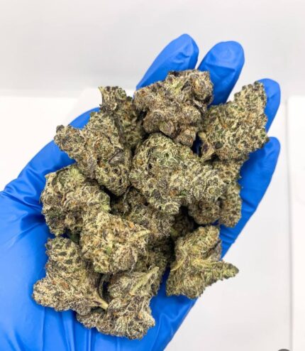 Rare Truffle Cake Strain