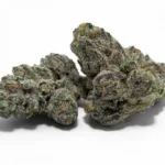 Top Biscotti Gushers – Indica (AAA) THC: 25% – 35%
