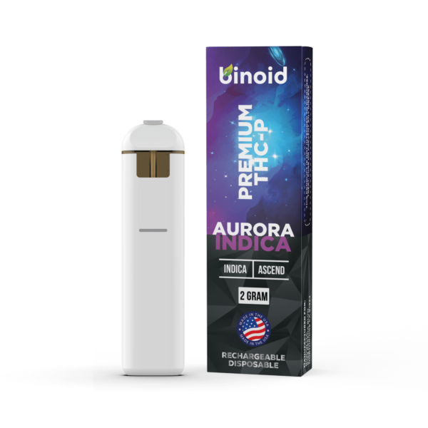 Buy THC-P Rechargeable Disposable – 2 Gram