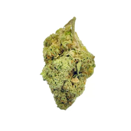 Durban Poison Flower - THCA
