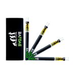 Evolve Disposable Vape Pen UK 1 Gram