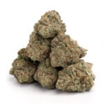 Jack Herer Sativa flower