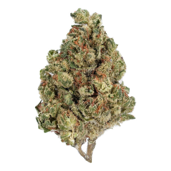 Buy Afghan THCa Flower